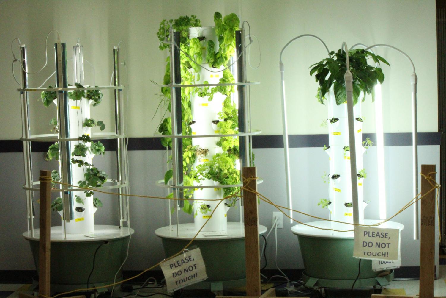 Three tower gardens, located outside the Rec Plex, have been recently planted with a variety of herbs, vegetables, and berries. Special education students are helping plant the towers.