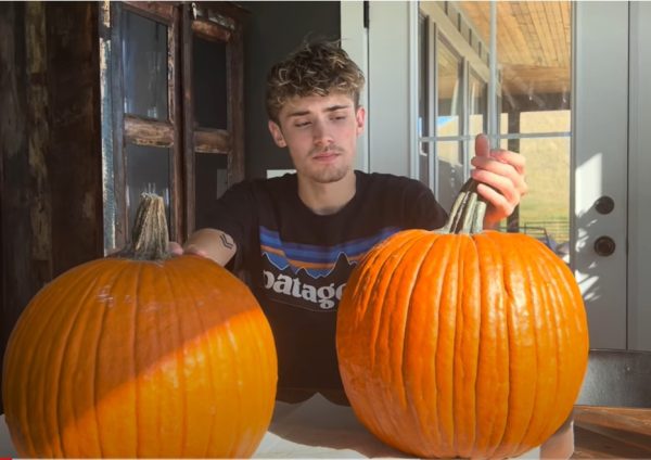 Alec Dalby examines the two pumpkins he bought at local grocery stores before demonstrating proper carving technique.