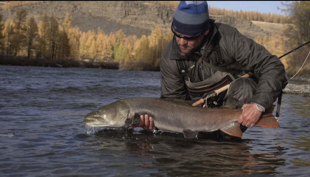 Guide Charlie Conn catches big Taimen fish in the rivers of Mongolia.