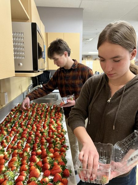BPA members Siobhan Stevenson and Silas Hjortsberg set strawberries out to dry in the home economics room, Feb. 13 after school.