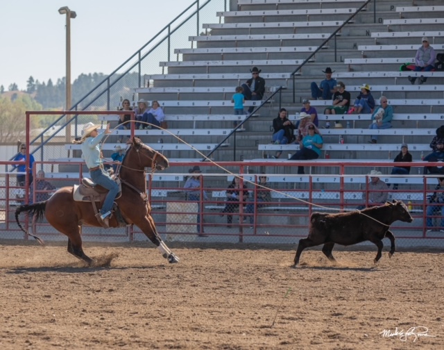Ava Malone competes in breakaway roping last year while still in high school.