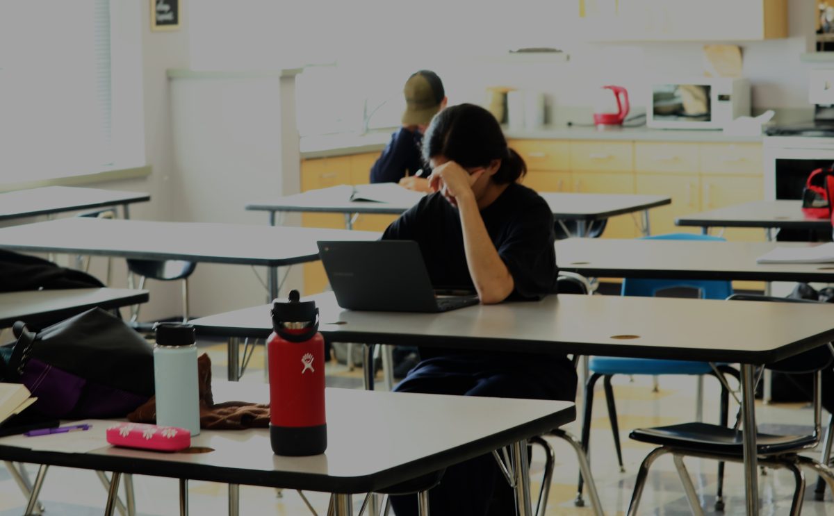 Bradley Dillow works in the nearly empty study hall room during fourth period.