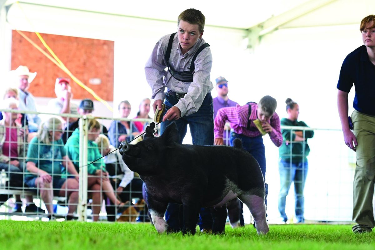 A day in the life: The swine showman of Park High